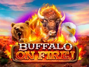 Buffalo on Fire thumbnail
